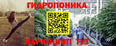 скорость Пугачёв